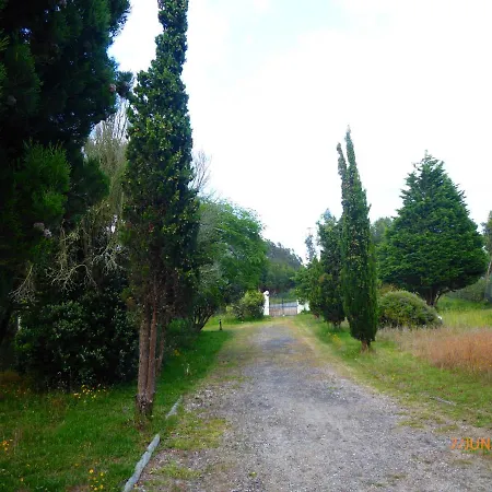 Cedro Girao