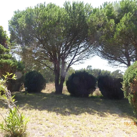 Cedro Girao