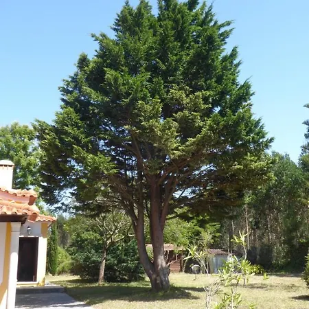 Cedro Girao Willa